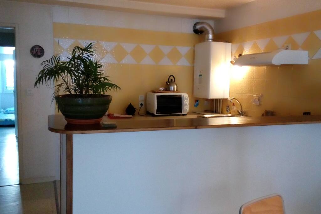 Cuisine ouverte sur le salon