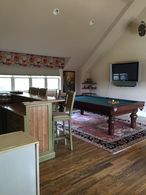 TV & Pool Room