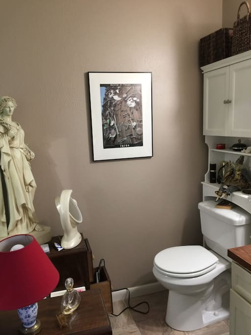 Half Bath in Bedroom