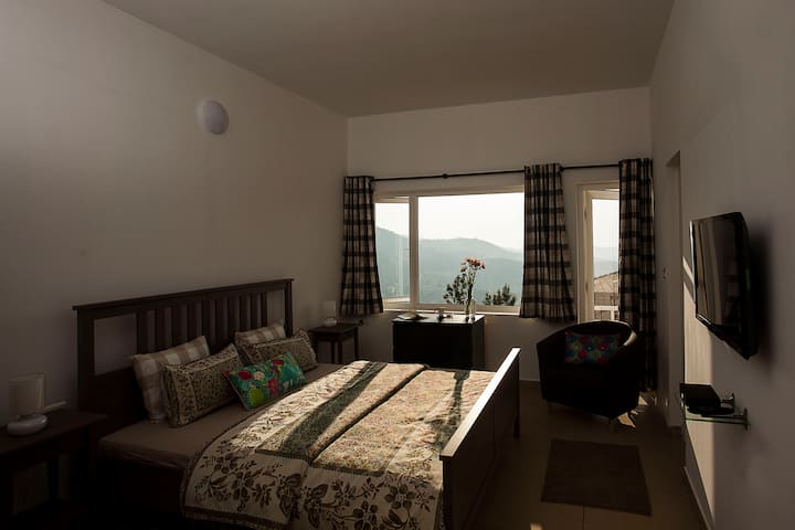 Ჯინჯერი 