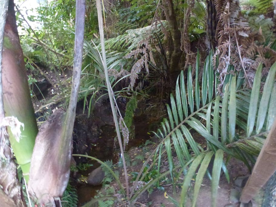 The stream that runs down the side of our property provides ambient & peaceful water noise day & night