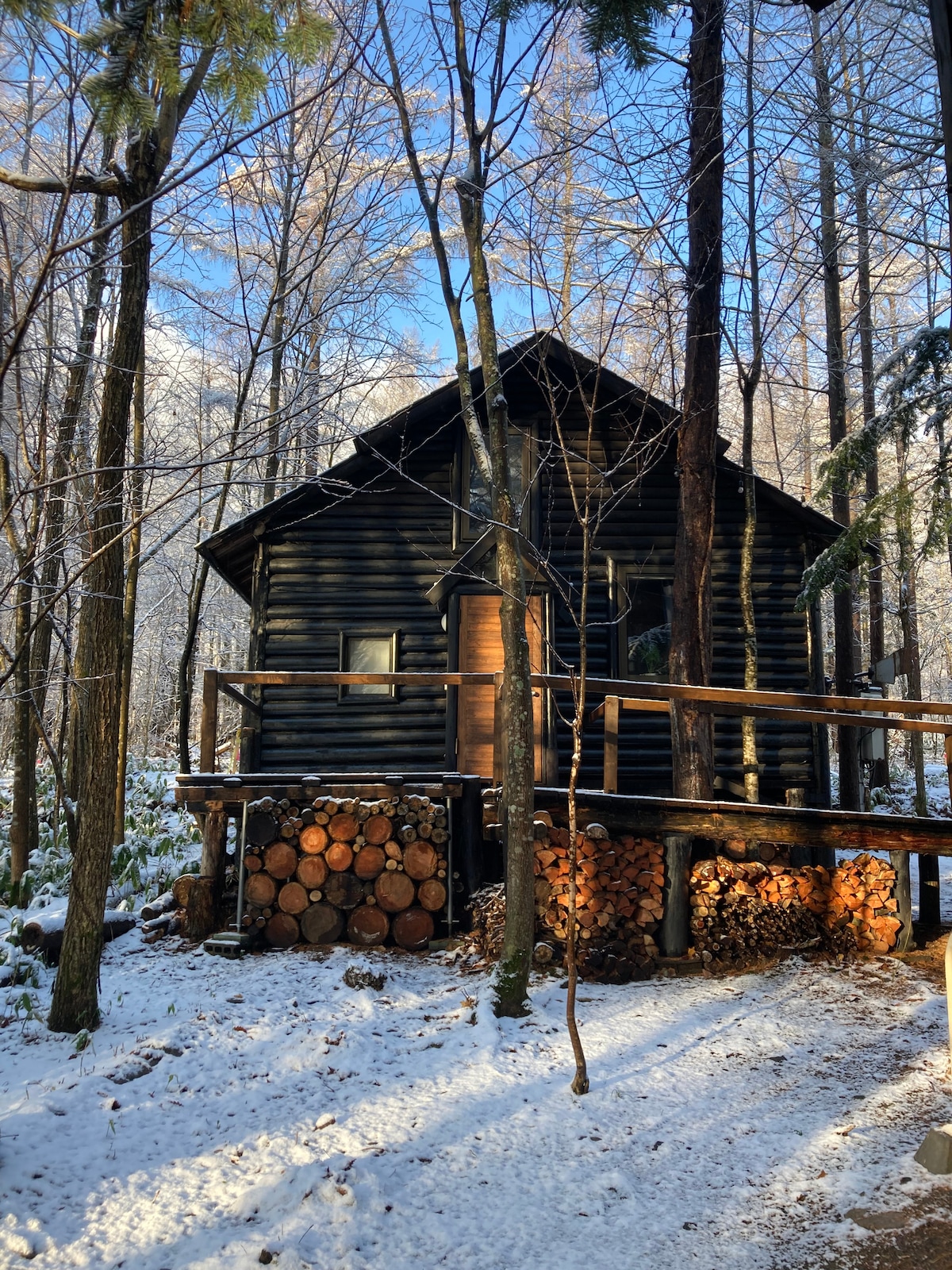 Log cabin in the woods - Yukari Cabins #3 - Cabins for Rent