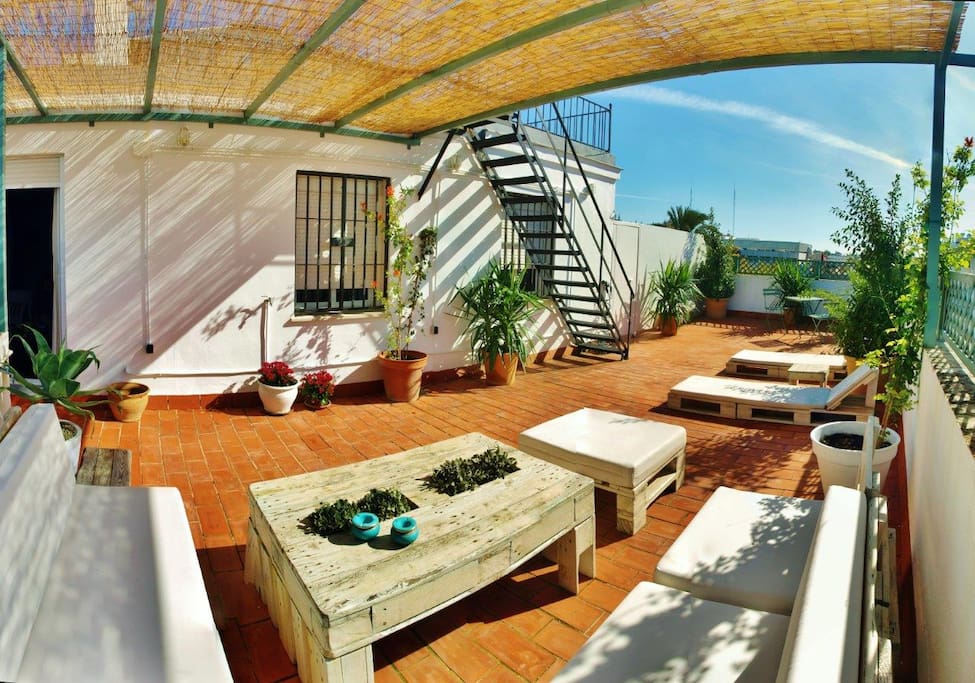 Terraza