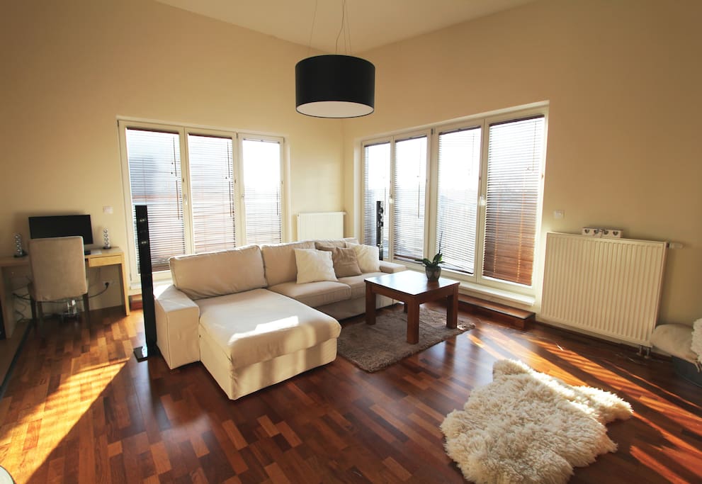 Big spacious living room