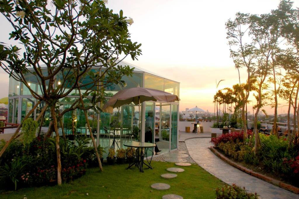 Rooftop Garden