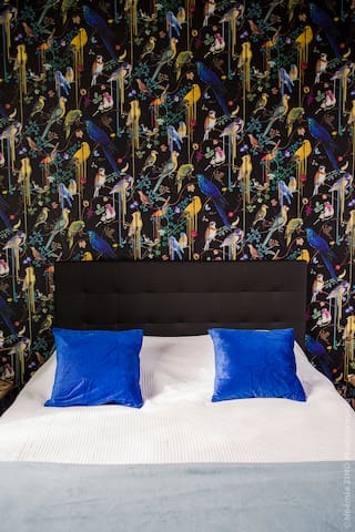 Private room with 1 bedrooms in Baie de Somme - Chambre symphonie (Maison d’hôtes Le Jardin)