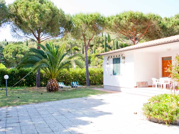 A spacious outdoor area is depicted, featuring a well-maintained lawn with palm trees and patio furniture. Sun loungers are arranged under the shade, complemented by a table and chairs for dining. The exterior of the building showcases a light-colored facade with green windows.