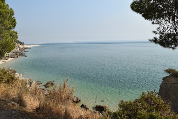 Show full-screen, host-provided image