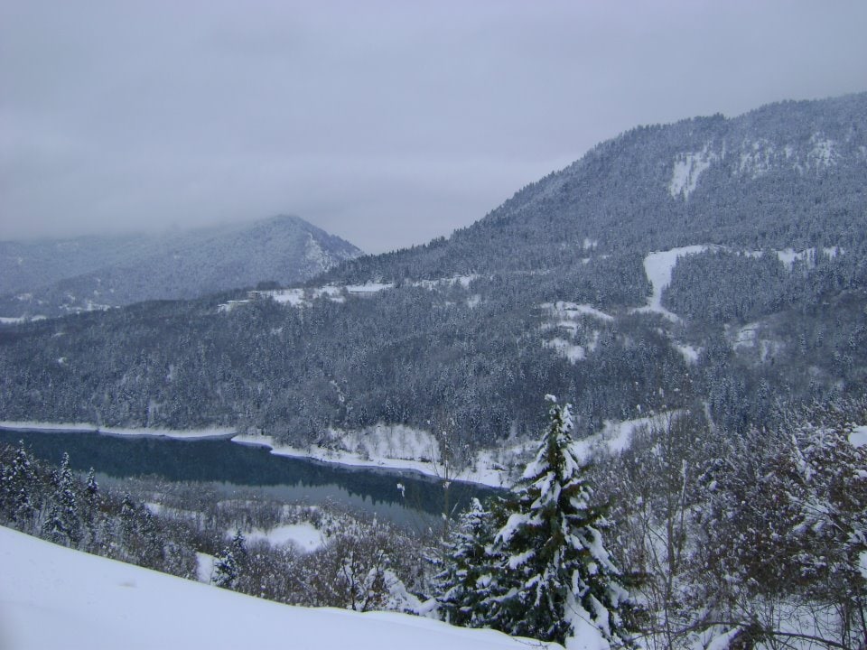 A serene winter landscape is revealed, featuring snow-covered mountains in the background. A river glimmers between the trees, reflecting the overcast sky. The foreground is adorned with evergreen trees, dusted with fresh snow, creating a tranquil atmosphere.
