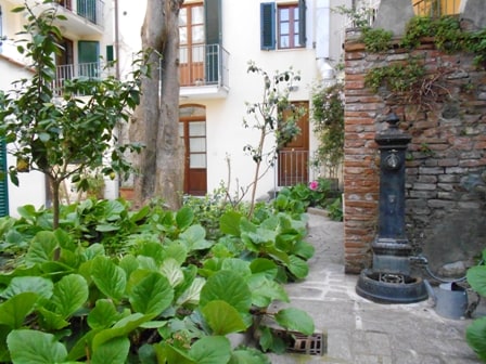 An interior courtyard is presented, featuring lush green plants and foliage that surround a brick wall. A historic well is visible alongside stone pathways, complementing the building's architecture with doors and windows in the background, providing a rustic charm.