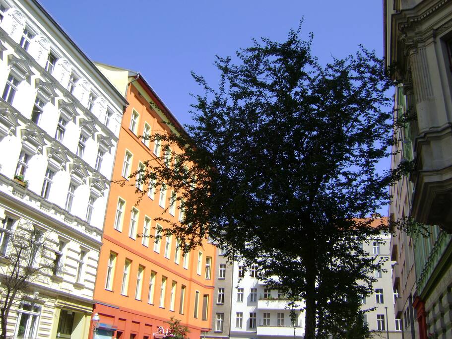 streetview with sunny weather