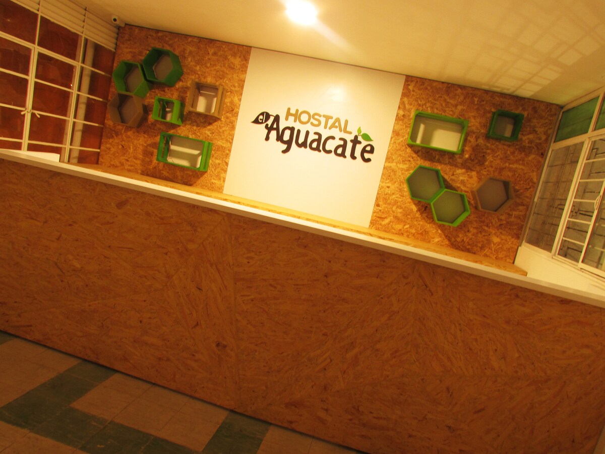 A reception area features a wooden front desk, complemented by a wall adorned with colorful honeycomb shelves. The name 'Hostal Aguacate' is prominently displayed on a light background, enhancing the welcoming ambiance. Natural light enters through large windows, creating an open environment.