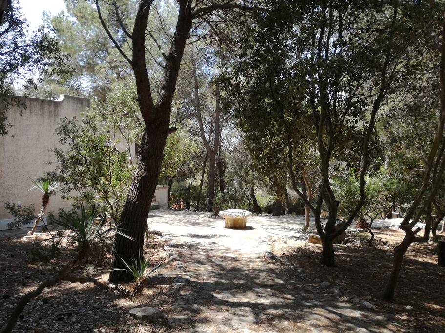 Ingresso giardino.