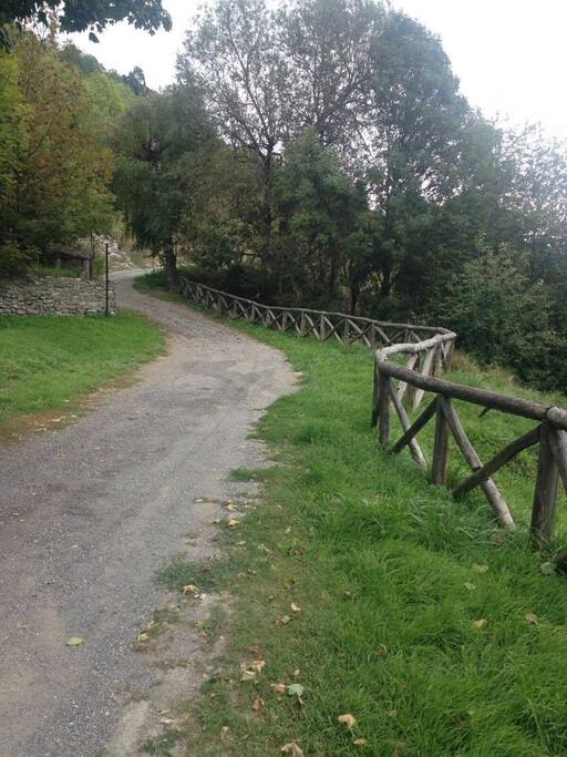 Viale d’ingresso