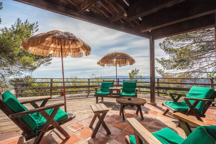 Amazing View from Hollywood Hills. gallery image 4