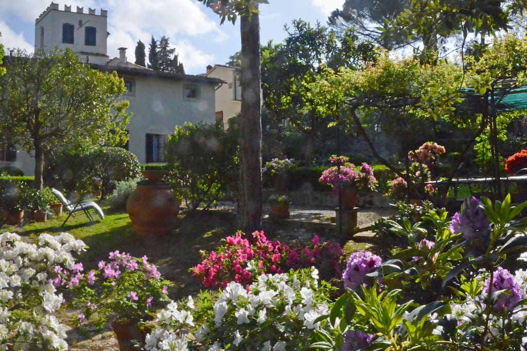 il giardino in fiore (aprile 2016)