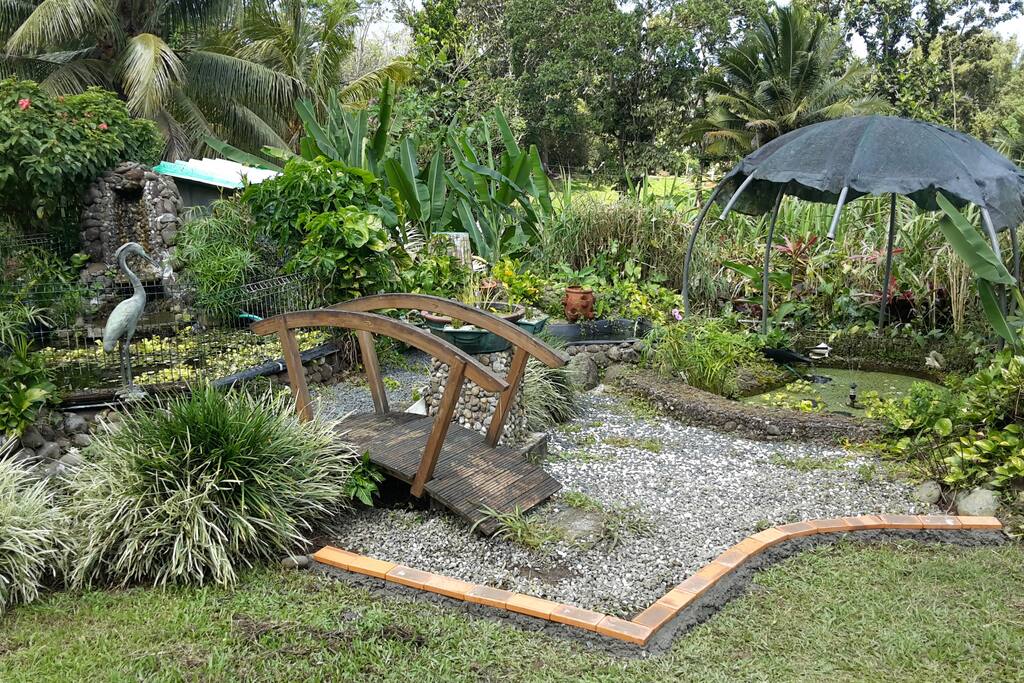 Jardin côté bassin