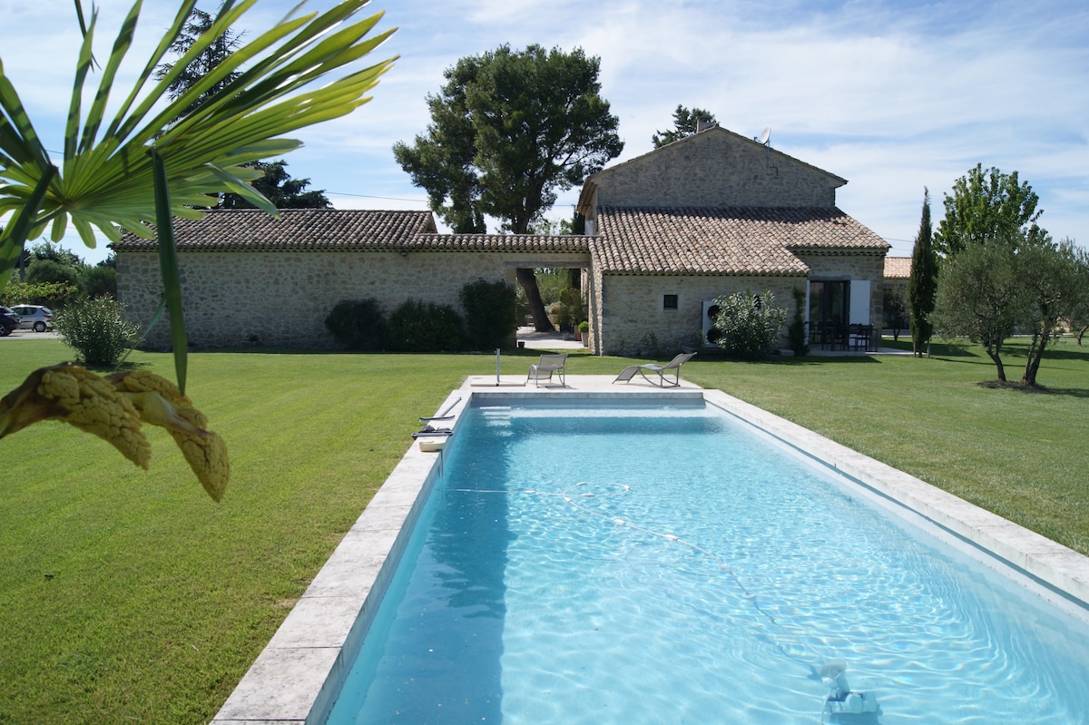 A refreshing pool is framed by well-maintained grass and palm trees, with lounge chairs positioned on the pool deck. In the background, a rustic stone house features a traditional roof and is surrounded by olive trees, adding to the serene outdoor setting.