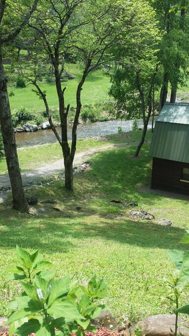 Trout stream.
