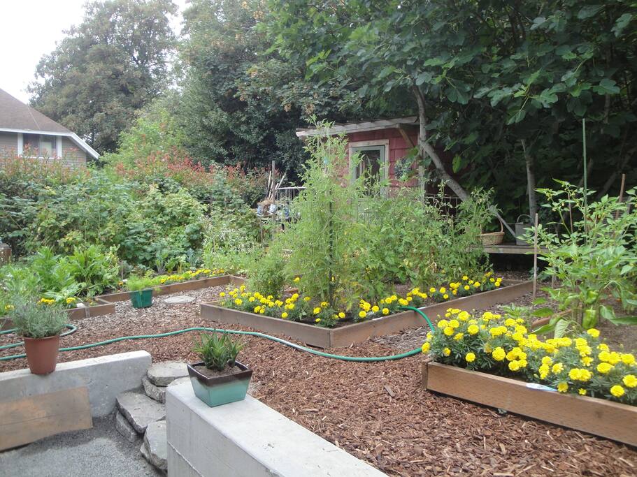 Sellwood Garden Studio Houses for Rent in Portland