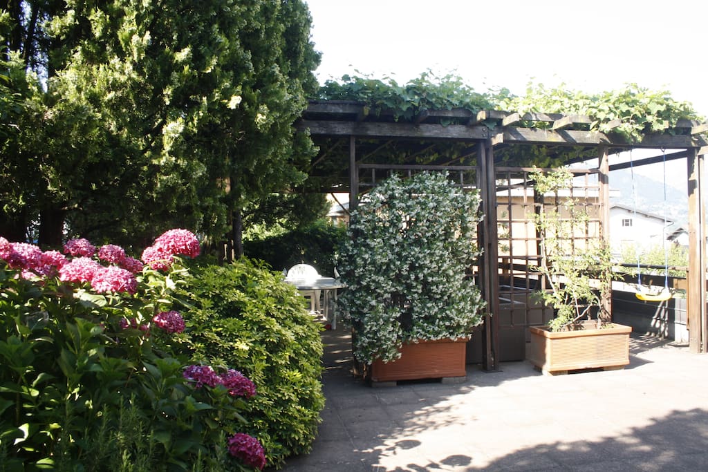 terrace