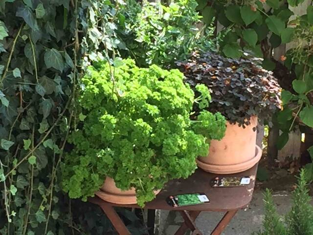 Town house in best area, 200sqm, private garden gallery image 2