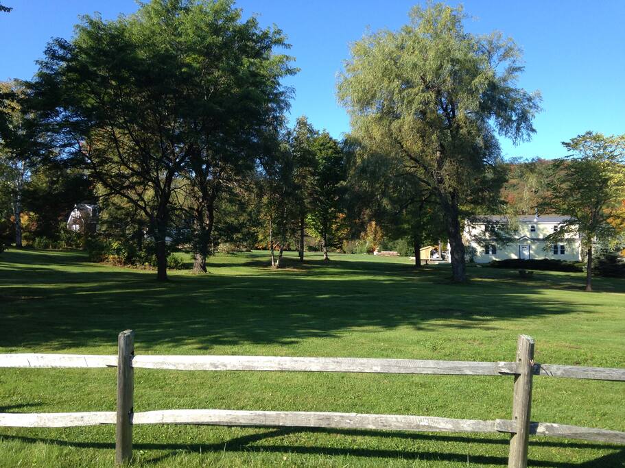 6 acre setting looking from the lake. Apartment is up and to the left.