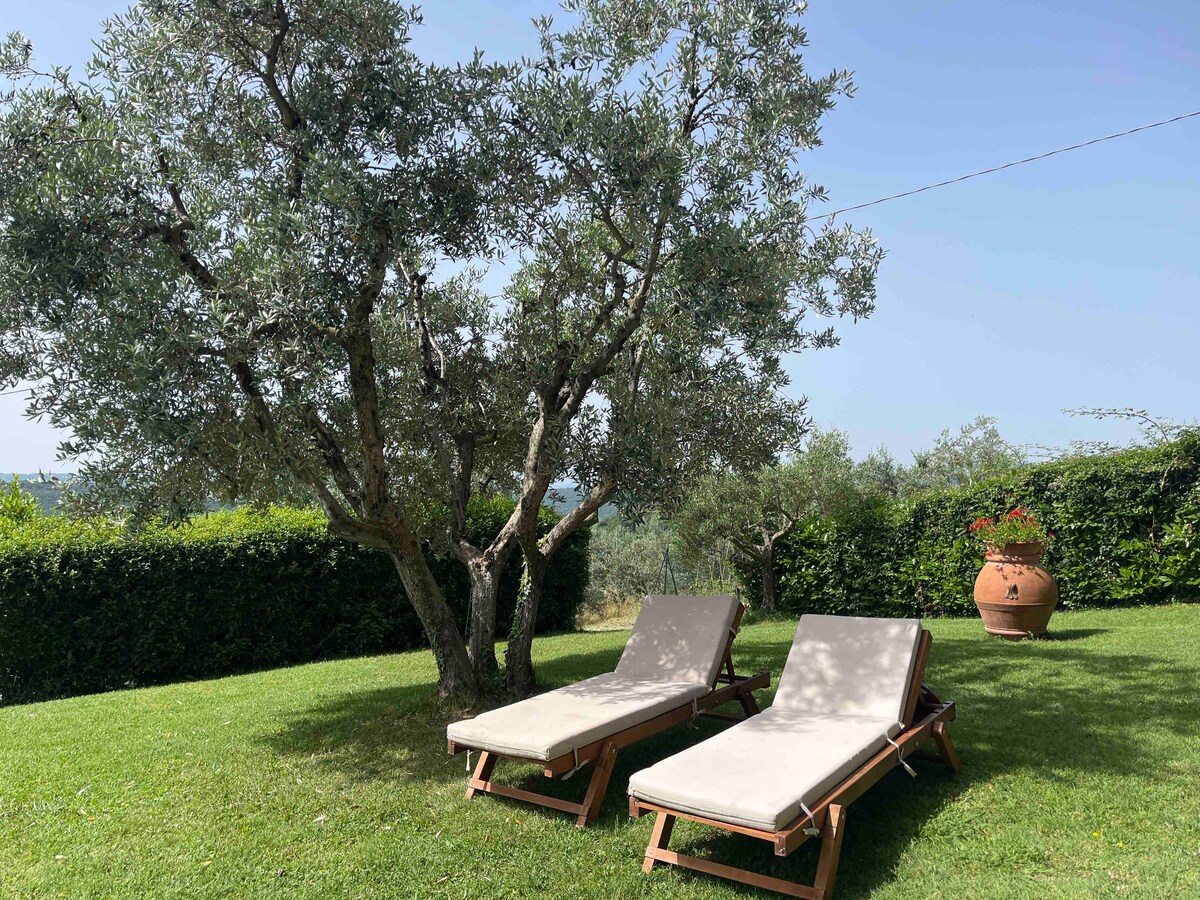 Two lounge chairs are positioned under an olive tree, surrounded by lush green grass. A terracotta pot filled with vibrant flowers is situated nearby, contributing to the serene outdoor setting. The area is bordered by hedges, providing a sense of privacy.