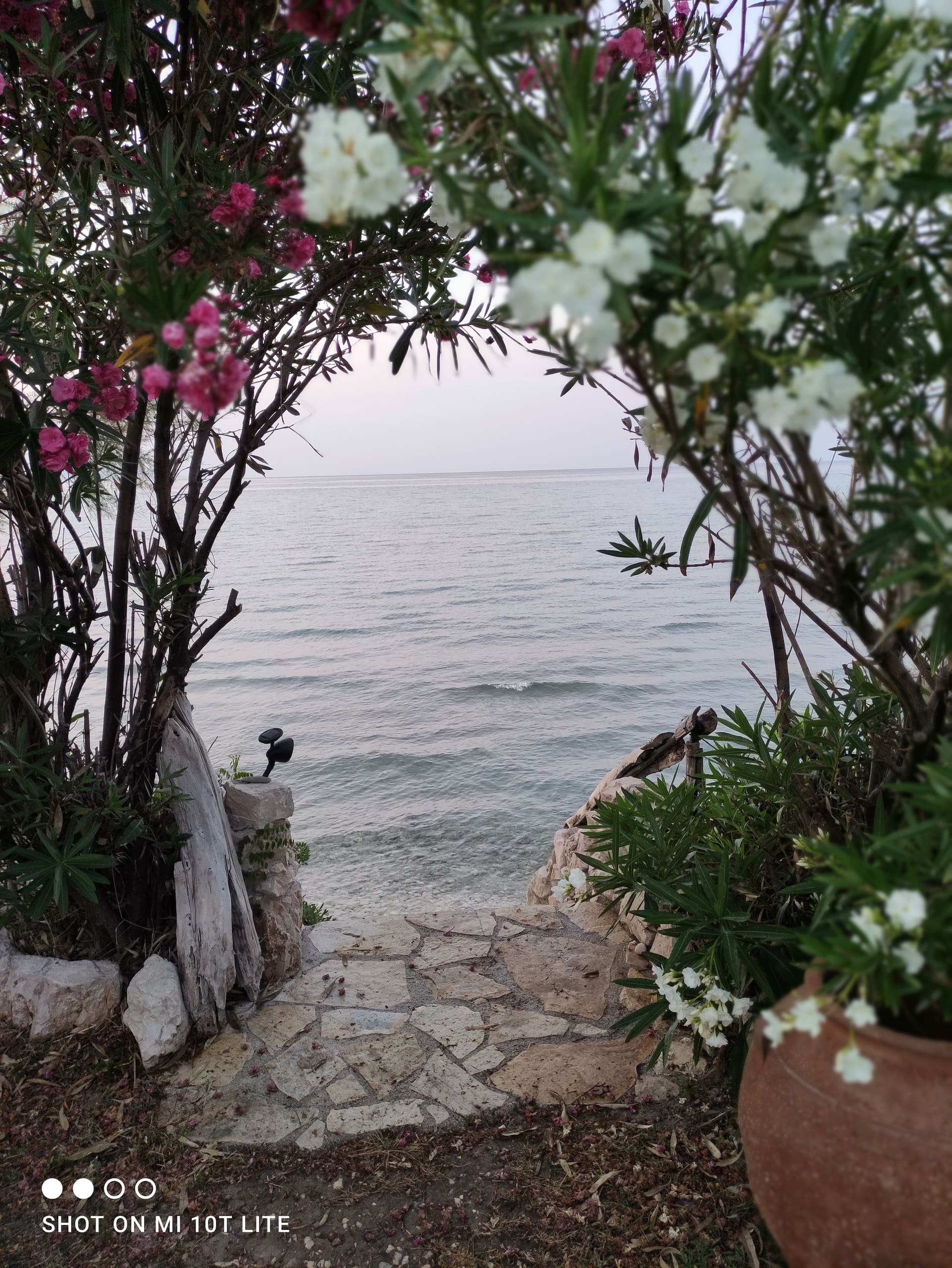 Mare nostrum 2 - Alykes Zakynthou — photo 2