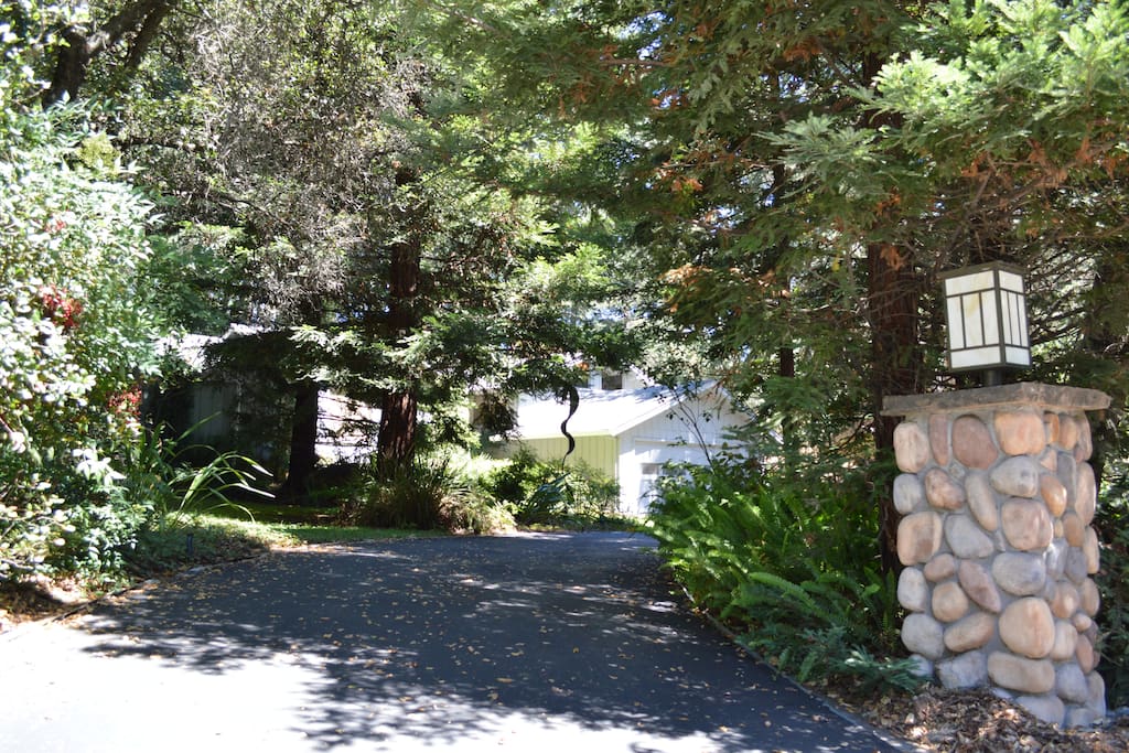 Circular Driveway