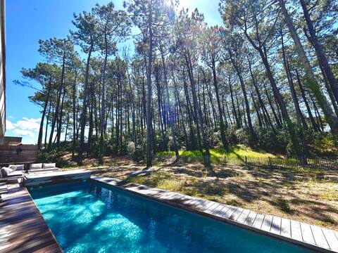 Contemporary villa with 12x3 pool forest view