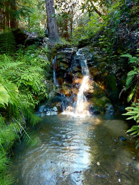 The Forest Cottage in Big Sur w/Private Hiking