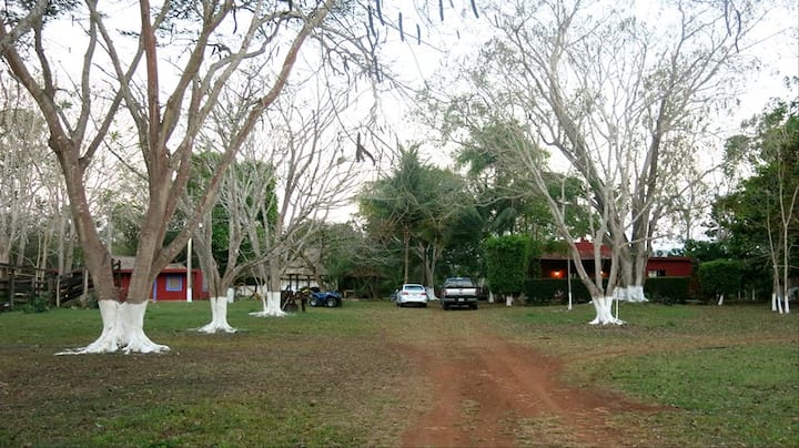 Ranch in nature - Chalets for Rent in Dziuché, Quintana Roo, Mexico ...