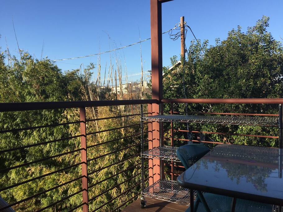 View off 2nd story porch facing downtown