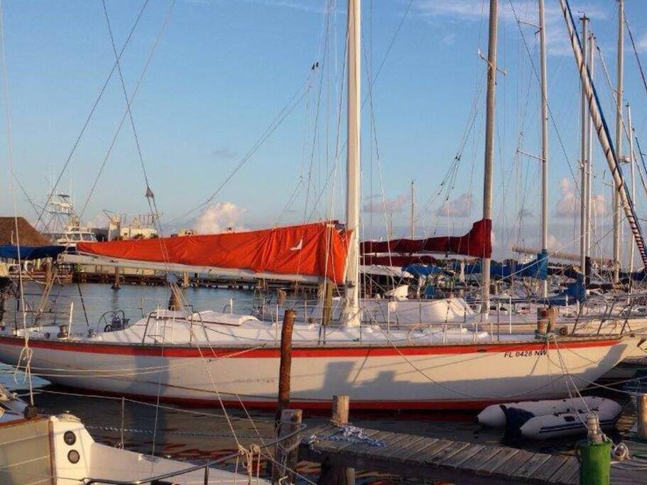 Velero