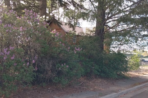 Pet Friendly House/Yard in Town