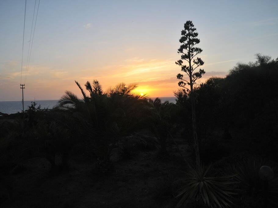 Vista tramonto dal giardino