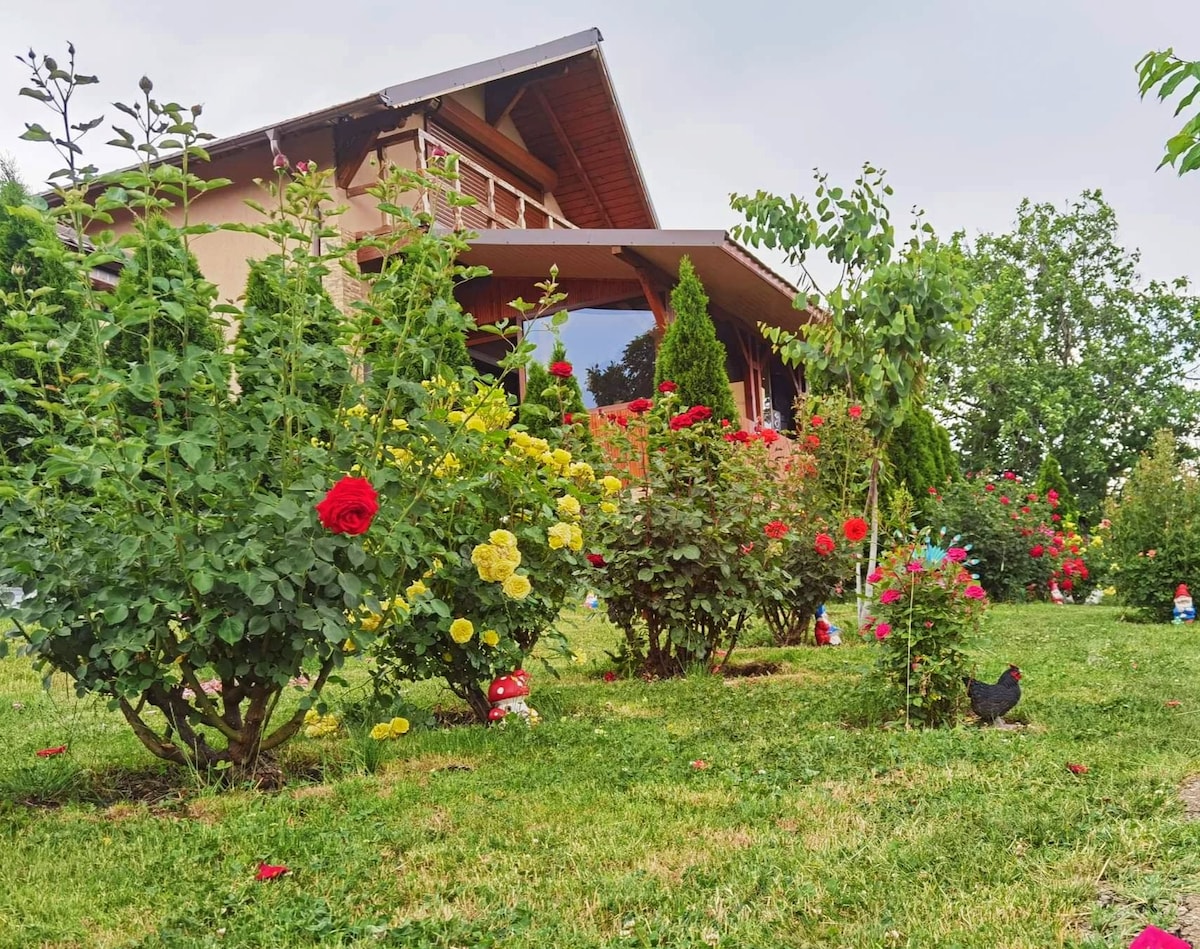 A residence is surrounded by a lush green yard, featuring vibrant rose bushes in various colors, including red and yellow. The well-maintained garden is complemented by small decorative elements and patches of grass, enhancing the natural scenery.