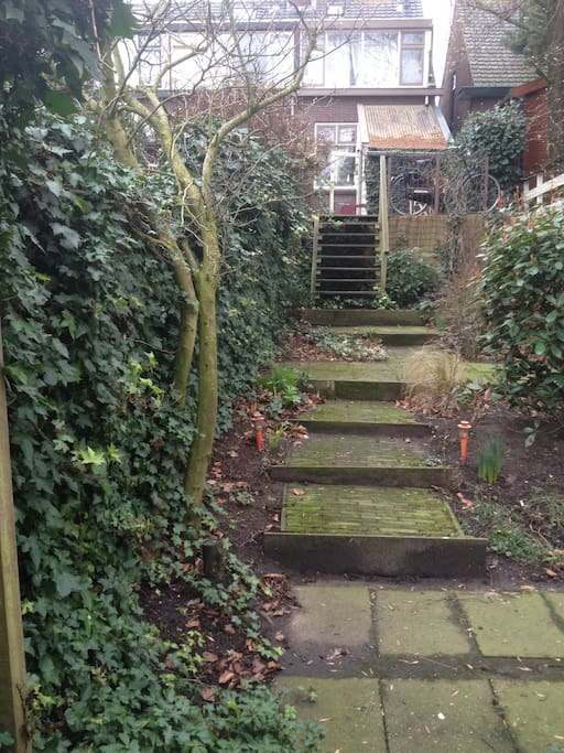 back yard