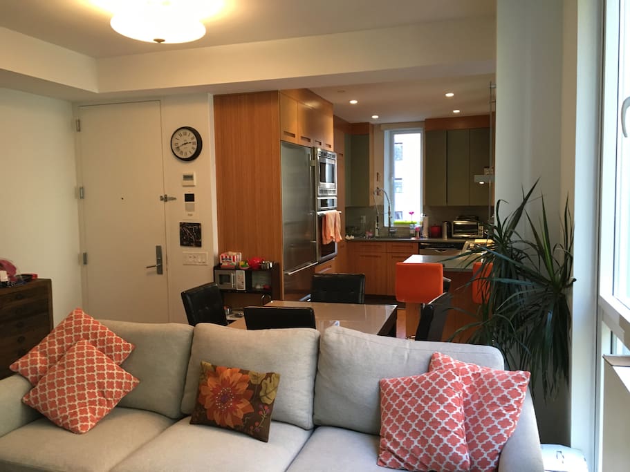 Open plan living-dining and kitchen