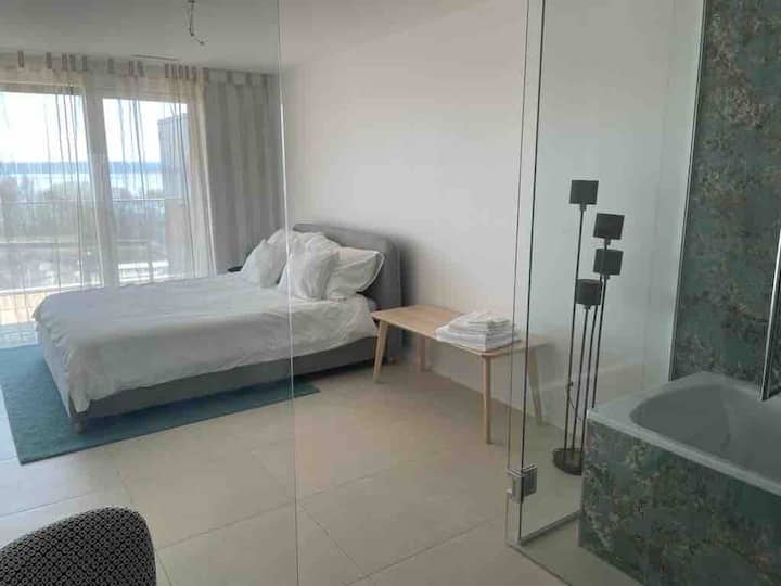 Master bedroom with en-suite bathroom 