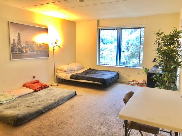 Super Comfortable Living in The Heart of Ann Arbor