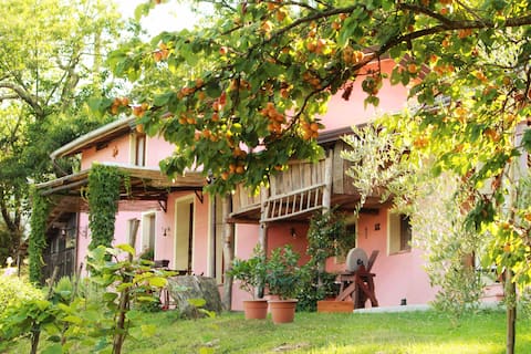 Delectable dwelling on the hill