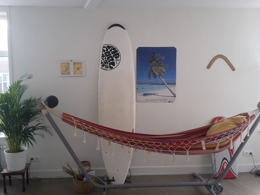 Hammock & Surf