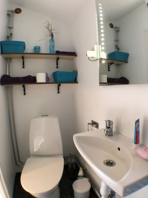 Toalett med dusch/Bathroom with shower