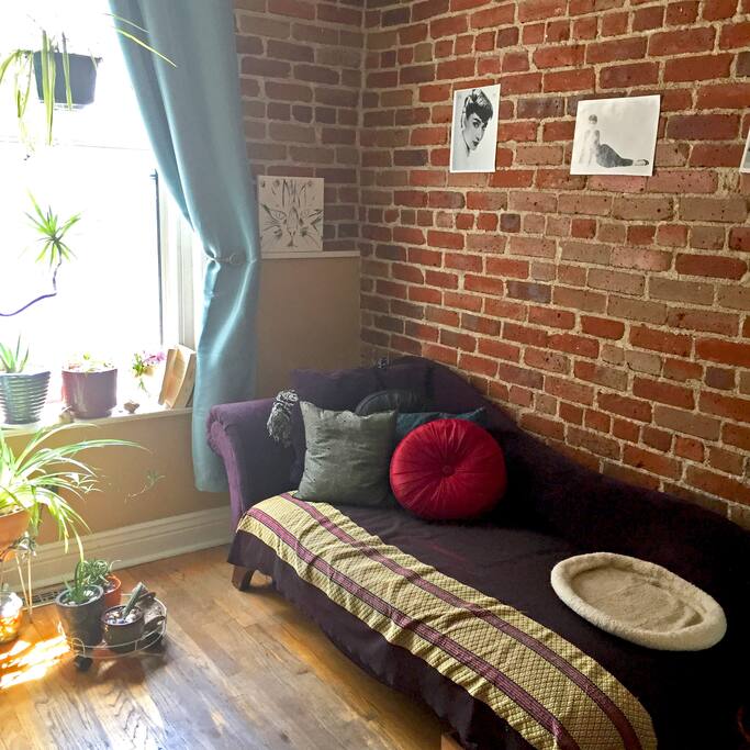 View of the chaise lounge, near the front window