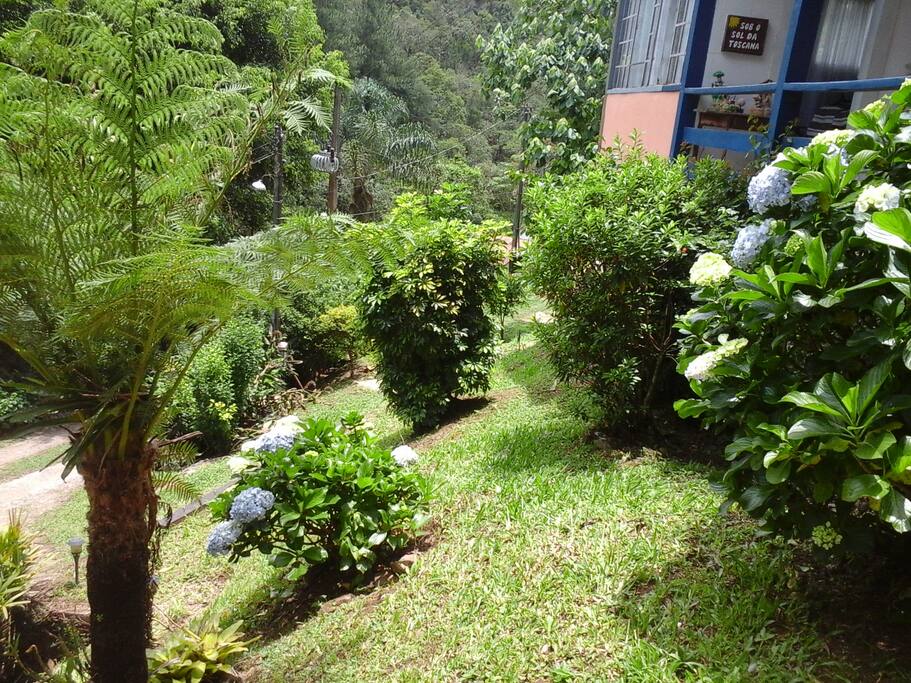 Vista jardim externo