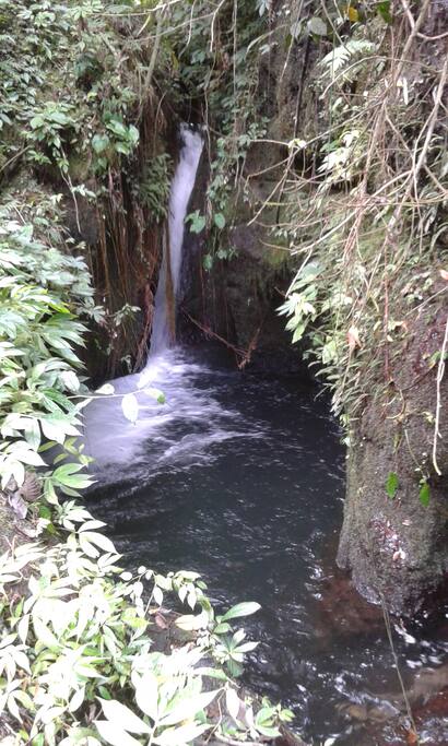 Jumping Waterfall