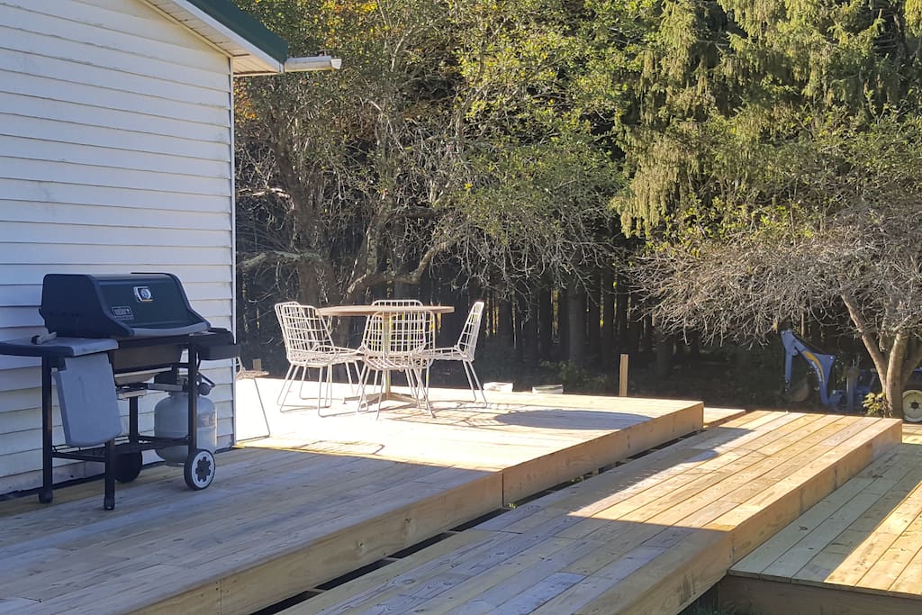 Large deck overlooking 38 acre property