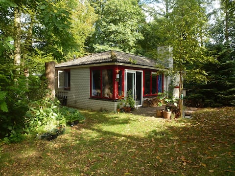 Forest house in Centre of Holland